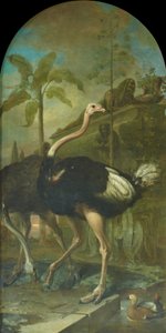 Ein Straußenpaar, im Hintergrund ein Sarkophag von Ignaz Heinitz von Heinzenthal