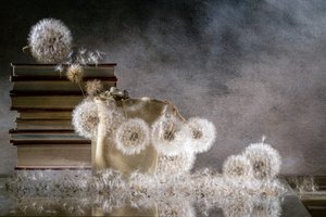 Zartes Löwenzahn Stillleben von Igor Kopcev