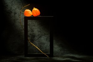 Leuchtender Physalis-Rahmen von Igor Kopcev