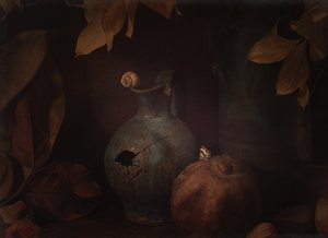 Stimmungsvolles Granatapfel Stillleben von Igor Tokarev