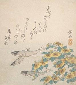 Fische schwimmen mit gelben Blumen, ca. 1830 von Ikeda Eisen