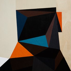 Geometrische Facetten