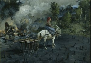 Bodenbearbeitung für Leinsamen in der Region Wologda, 1873