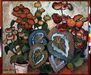 Begonien von Ilya Ivanovich Mashkov