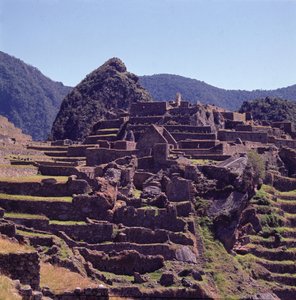 Terrassenbauten der Zitadelle in Machu Picchu