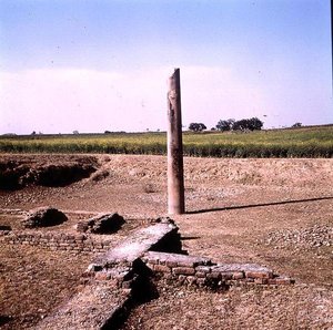 Säule von Kaiser Ashoka (ca. 264-223 v. Chr.) Maurya von Indian