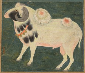 Ein königlicher Widder mit einer Goldkette, ca. 1585