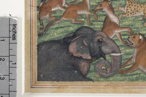 (Detail) Der Schakal, der sich selbst zum König erklärte, ca. 1560-65