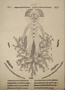 Diagramm der Meridianpunkte am menschlichen Körper von Indian School