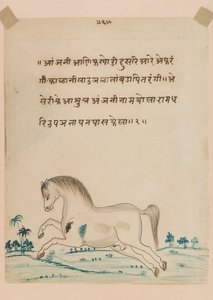Pferd von Indian School