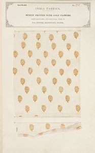 Bestickte Musselinprobe aus Madras, aus The Collection of the Textile Manufacturers of India, von John Forbes Watson, veröffentlicht 1866