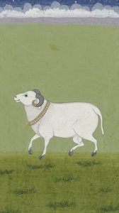 Widder mit goldenem Halsband, 1700-1799