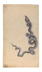 Die Konstellation des Drachen: al-Tinnin, 1740