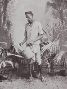 Bombay / Mumbai: Gärtner von Indian photographer
