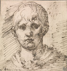 Kopf eines Jungen von Inigo Jones