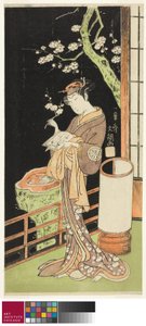 Der Schauspieler Segawa Kikunojo II als Oiso no Tora im Stück Soga Moyo Aigo no Wakamatsu, aufgeführt im Nakamura Theater im ersten Monat, 1769, ca. 1769 von Ippitsusai Bunchō