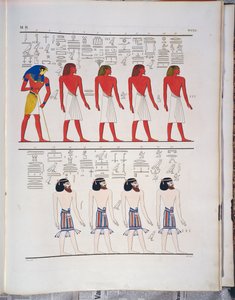 Die verschiedenen Menschentypen, die den Ägyptern bekannt sind, dargestellt im Grab von Menphtah I, Illustration aus 