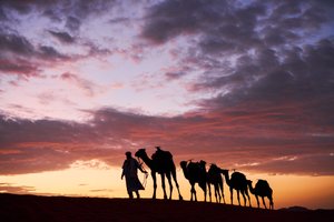 Ein Kameltreiber führt seine Kamele in Erg Chebbi in der Wüste in Merzouga, Marokko, 2019
