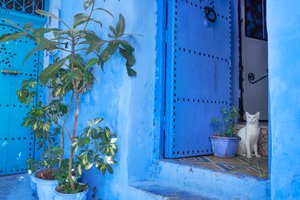 Eine Straßenszene in Chefchaouen, der blauen Stadt von Marokko, 2019 (Foto) von Ira Block
