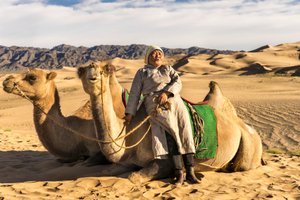 Eine Frau ruht sich mit Kamelen in der Süd-Gobi-Wüste, Mongolei aus, 2015 (Foto) von Ira Block