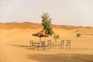 Wüstenszenen in der Nähe eines Hotels in Erg Chebbi, Merzouga, Marokko, 2014 (Foto) von Ira Block