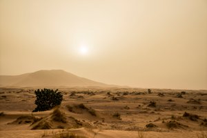 Sanddünen in der Erg Chebbi Wüste im Südosten Marokkos, 2014 (Foto)