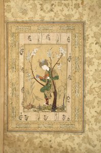 Jugendlicher im Ast eines blühenden Baumes sitzend, 1560er von Iranian Master