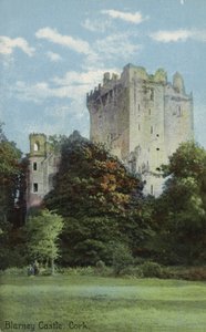 Blarney Castle, Cork von Irish Photographer