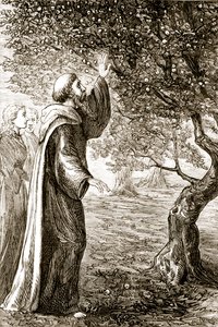 St. Columba verwandelt bittere Früchte in süße, aus The Trias Thaumaturga, oder Drei Wunderwirkende Heilige von Irland, von Mary Cusack (1829-99) veröffentlicht um 1890 von Irish School