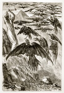 St. Patrick und die Dämonenvögel, aus The Trias Thaumaturga, oder Drei Wunderwirkende Heilige von Irland, von Mary Cusack (1829-99) veröffentlicht um 1890 von Irish School