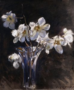 Magnolien in einer Vase