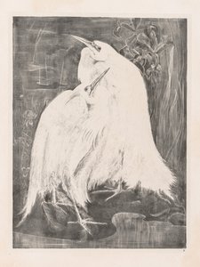Tierstudien: Zwei Silberreiher von Isaac Oliver