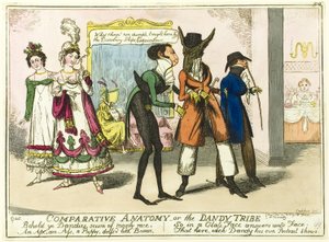 Vergleichende Anatomie von Isaac Robert Cruikshank