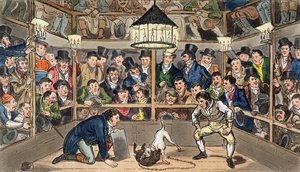 Tom und Jerry genießen ihren Spaß mit dem Phänomen Affe, Jacco Macacco, in der Westminster Pit, aus 