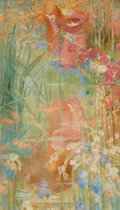 Iduna und der Adler von Isabel Codrington