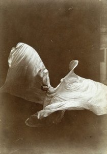 Loie Fuller in La danse Blanche, 1897 von Isaiah West Taber