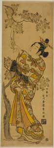 Junge Frau liest Tanzaku an einem Kirschbaum von Ishikawa Toyonobu