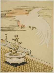 Hahn fliegt über Topf von Adonis von Isoda Koryusai