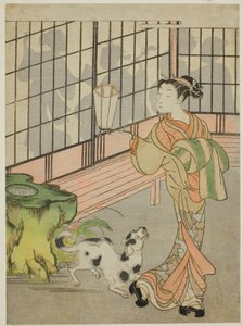 Kurtisane, die auf Schatten auf dem Shoji zurückblickt