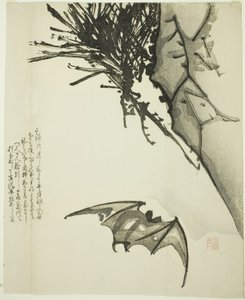 Eine Fledermaus fliegt in der Nähe eines Kiefernbaums