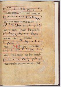 Blatt 8 aus einem Antiphonar-Fragment
