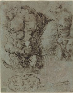 Studien eines männlichen Torsos von Italian 16th Century