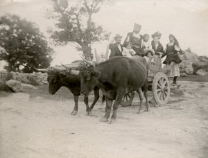Familie auf einem von Ochsen gezogenen Wagen, Sardinien, Italien, ca. 1910 von Italian Photographer