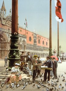 Taubenfütterung auf dem Markusplatz, Venedig