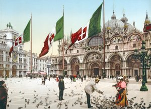 Taubenfütterung auf dem Markusplatz, Venedig