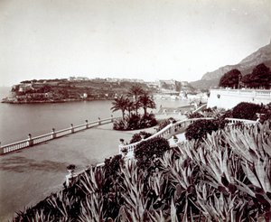 Panorama von Montecarlo. Im Vordergrund dichte Vegetation aus Agaven und Kakteen von Italian Photographer