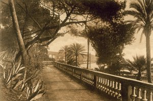 San Remo, Gärten von Italian Photographer