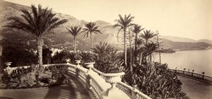 Der Garten des Casinos von Montecarlo, im Fürstentum Monaco von Italian Photographer