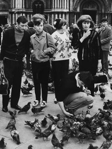 Touristen füttern Tauben, Piazza San Marco, Venedig, ca. 1970 (s/w Foto)