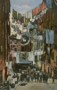 Truogoli di Santa Brigida; Genua